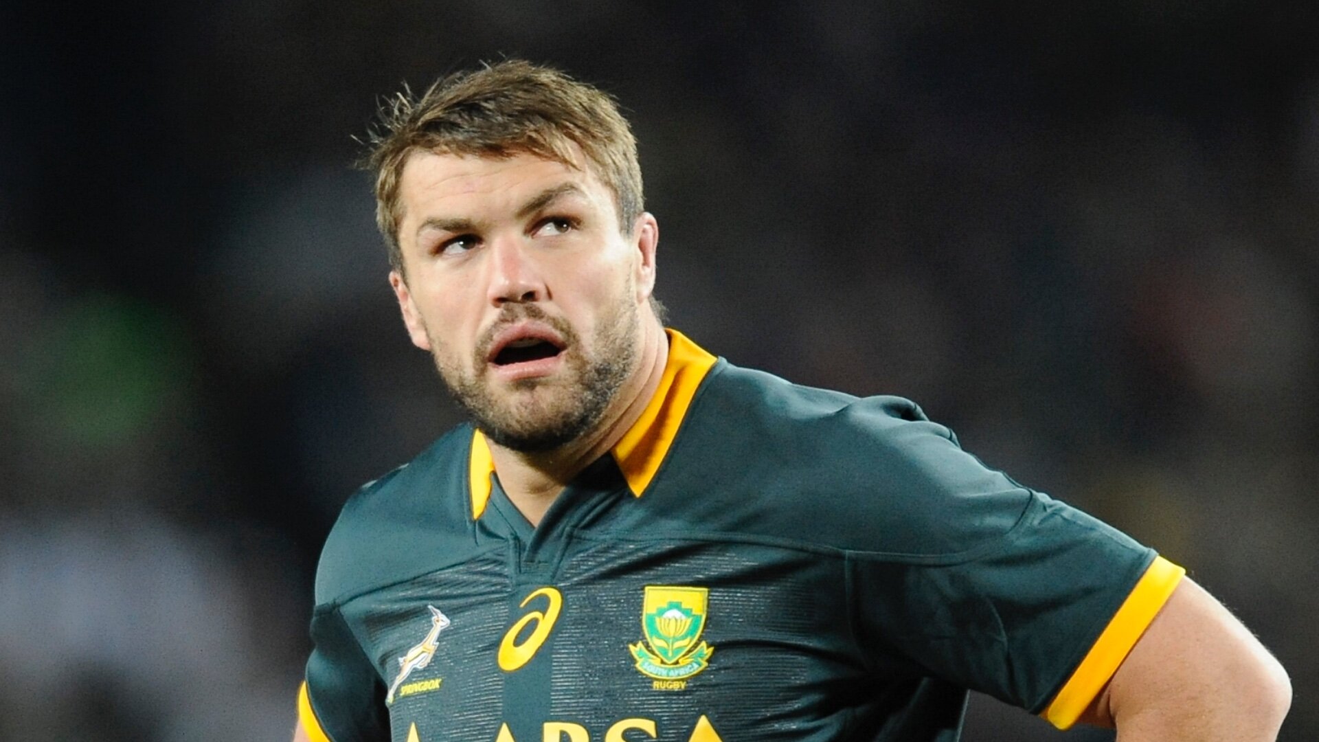 Springboks