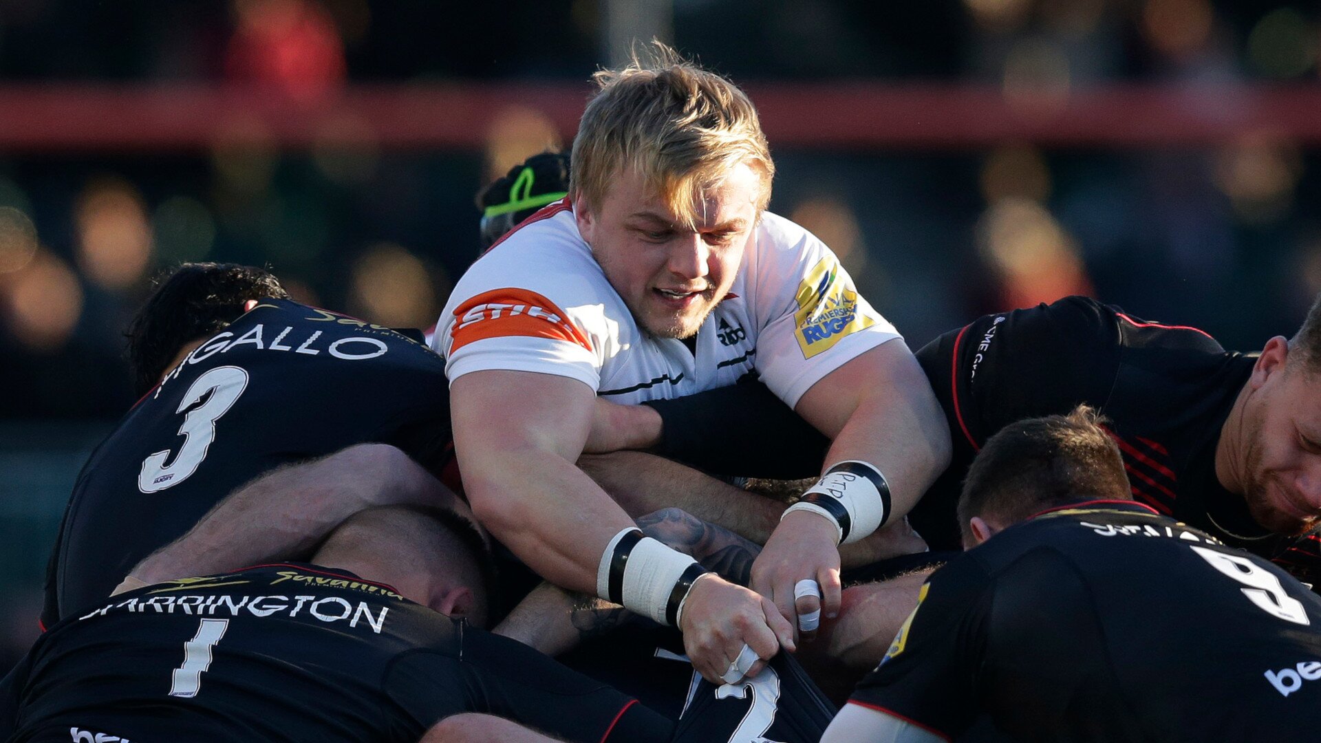 Luke Hamilton