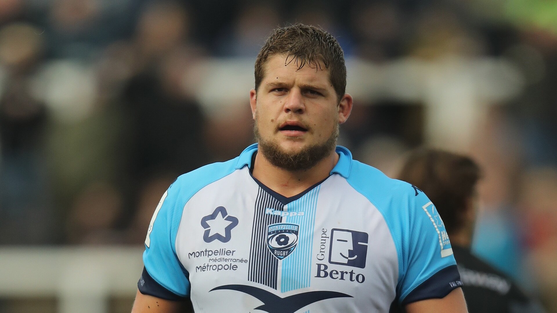 Paul Willemse