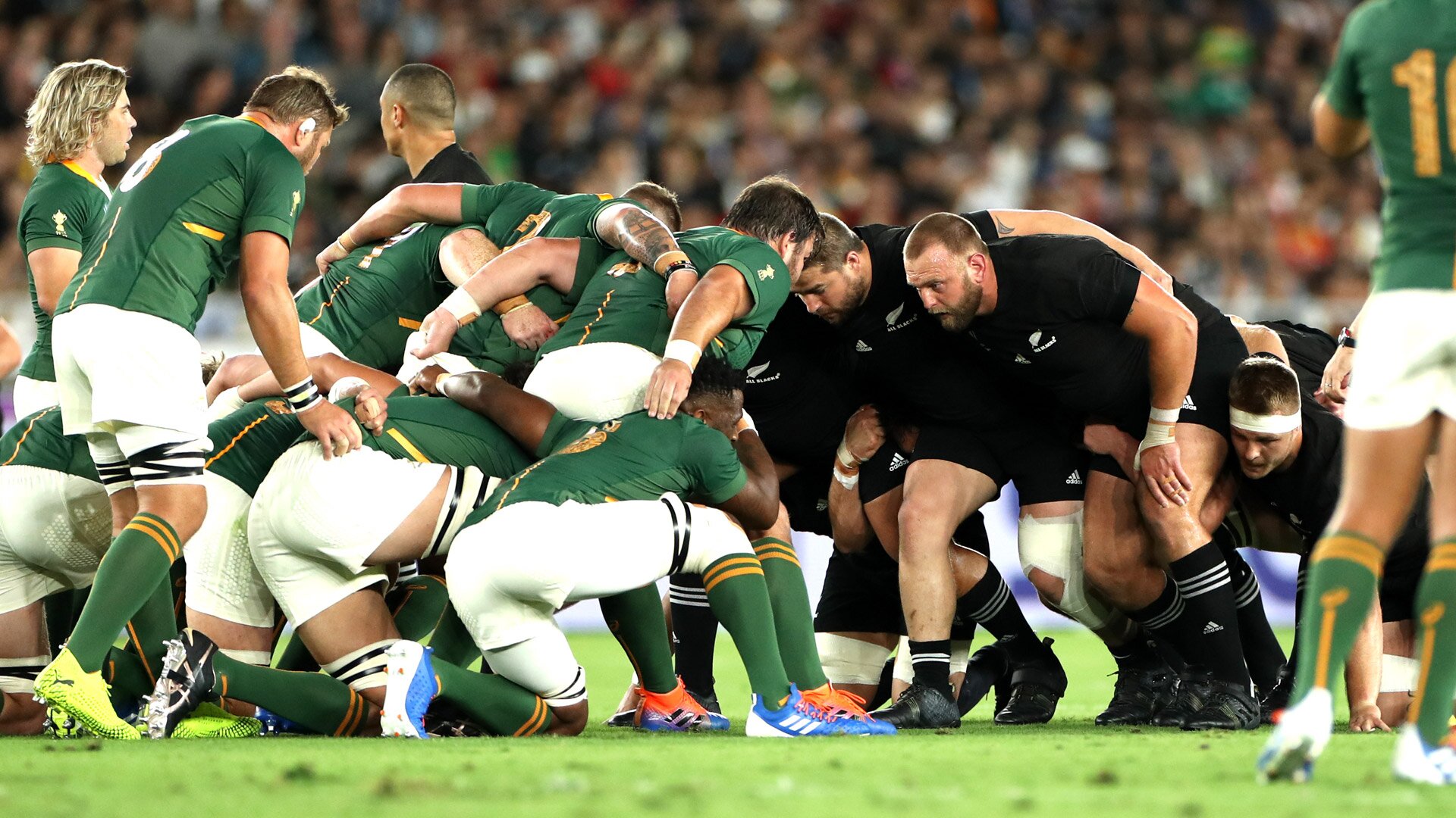 South Africa v New Zealand