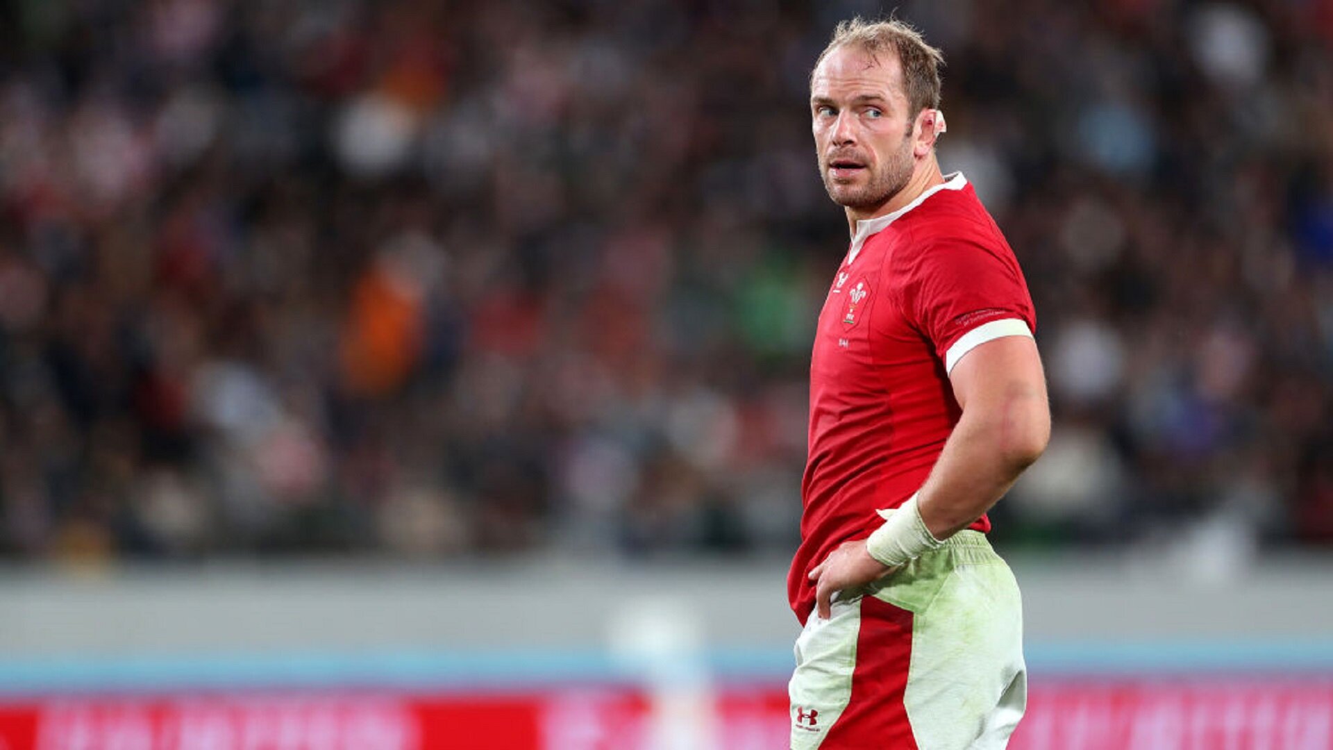 Rugby World Cup XV