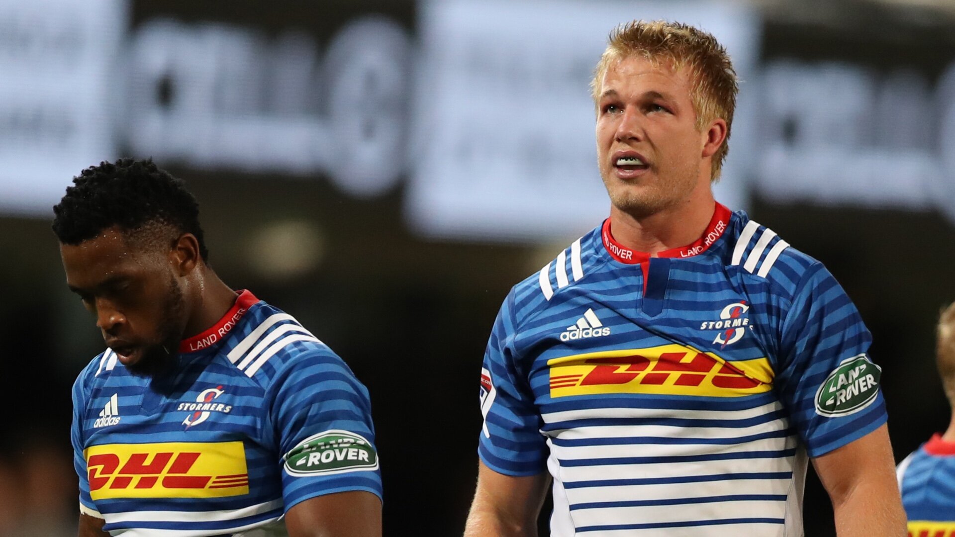 Springboks 2020