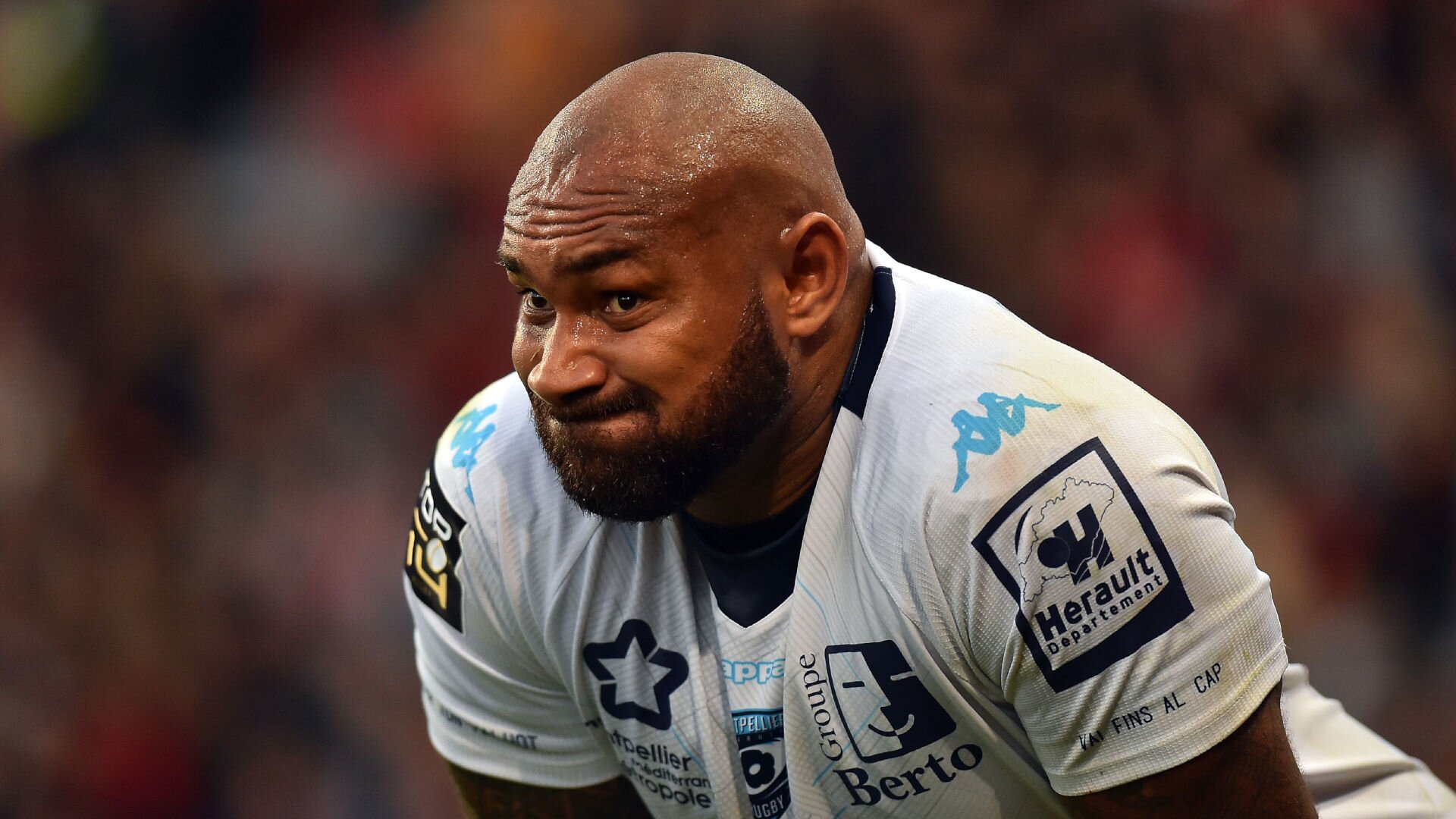 Nadolo Leicester