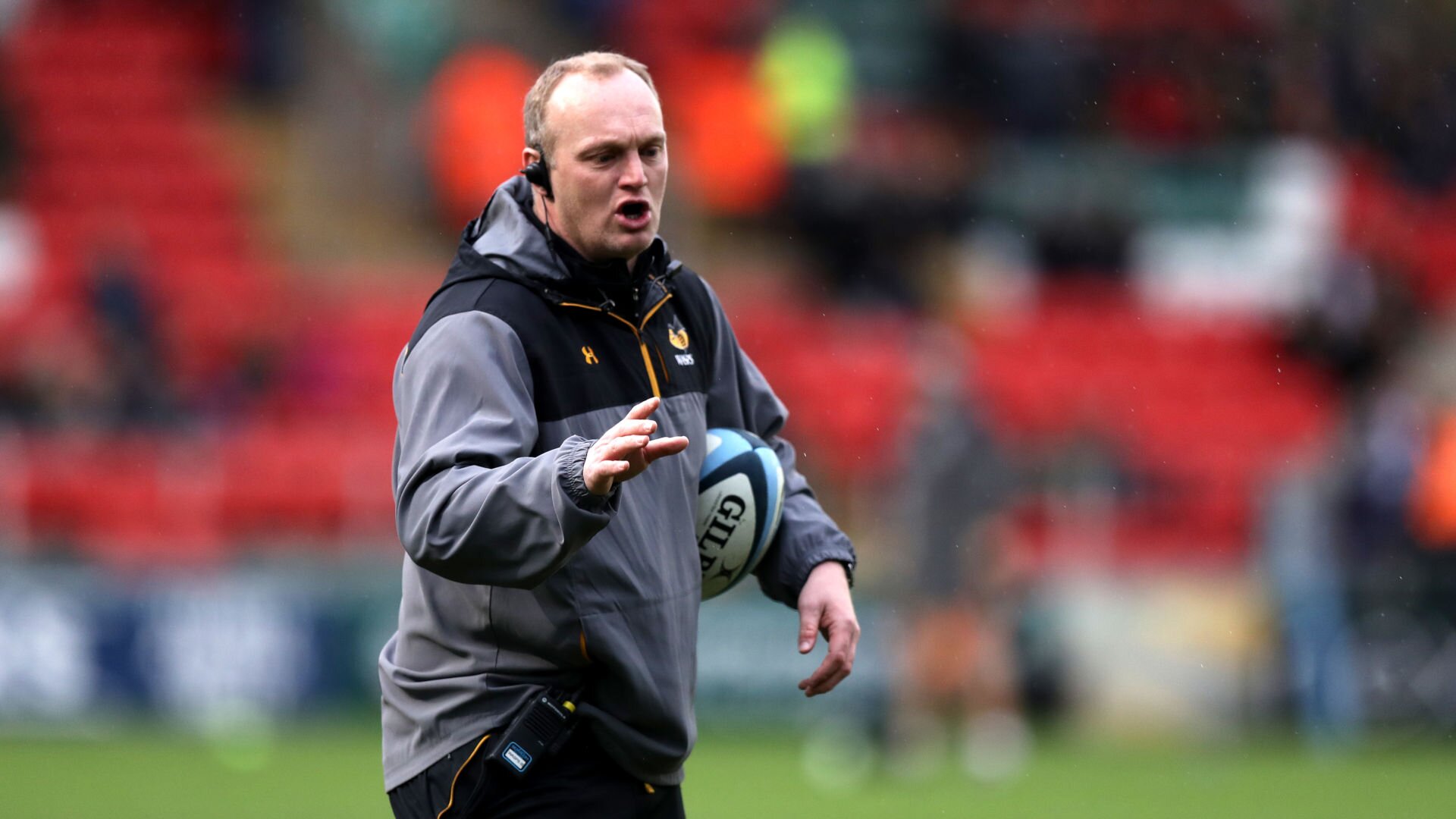 Blackett Wasps