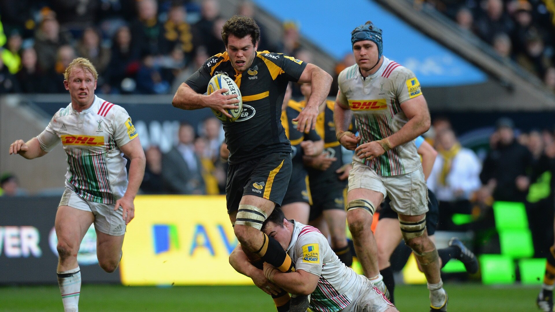 Rieder Wasps ball carrying