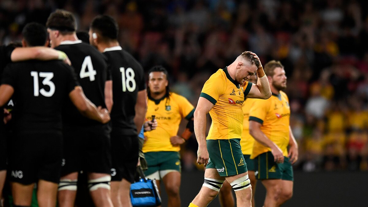 Wallabies