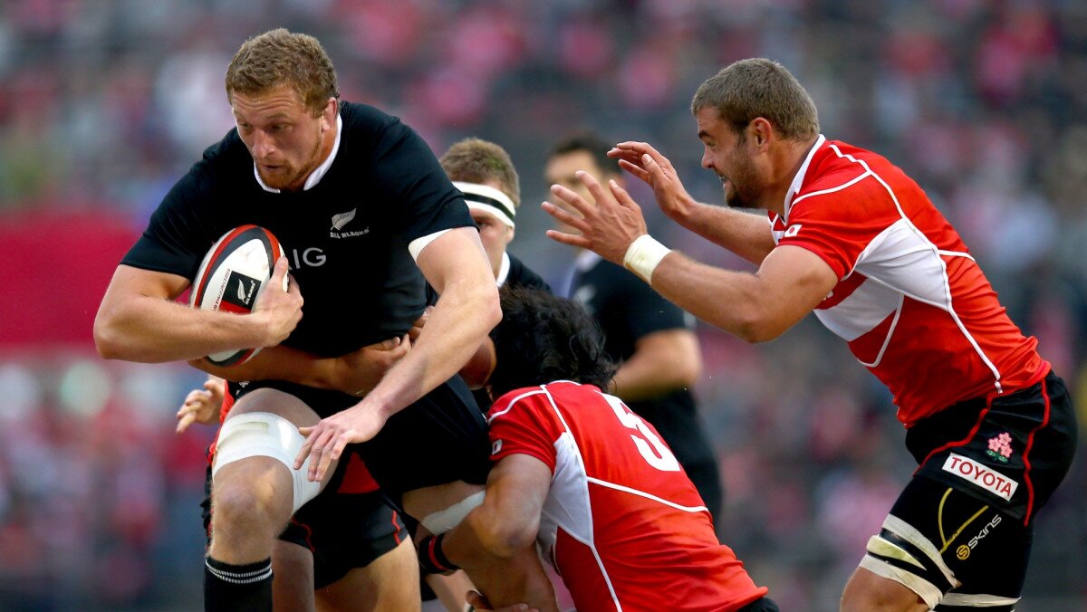 Bird All Blacks
